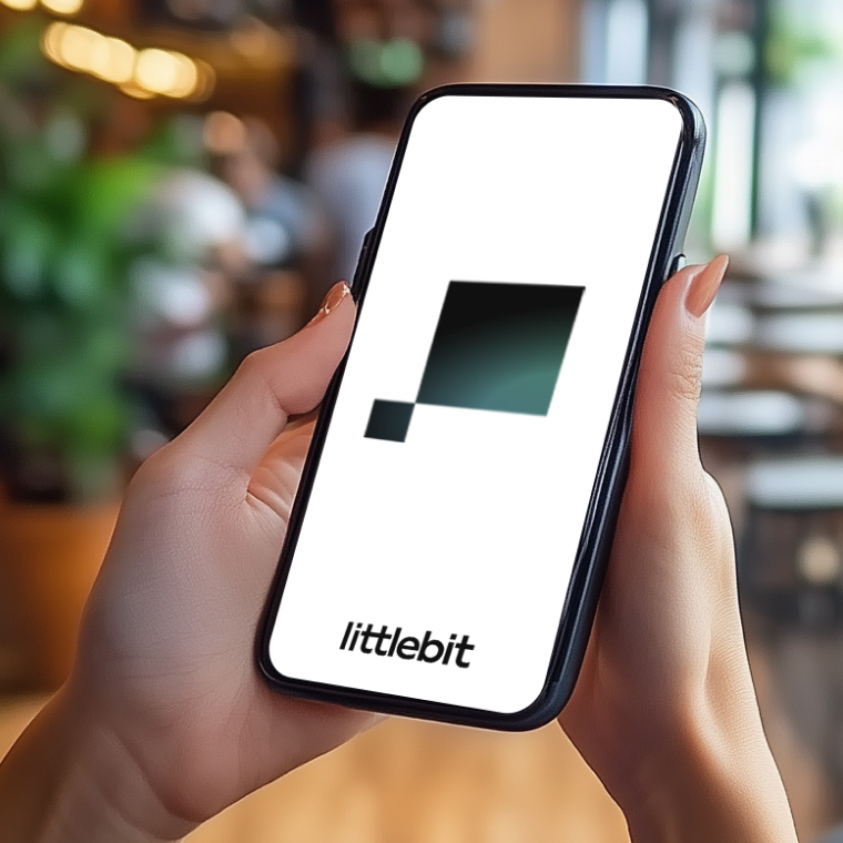 Hands holding phone with Littlebit app